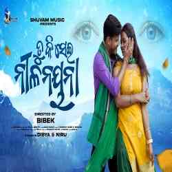 Tu Ki Sei Nilanayana